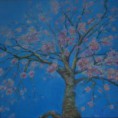 /album/galerie-de-photos-arbres/arbre-en-fleur-jpg/